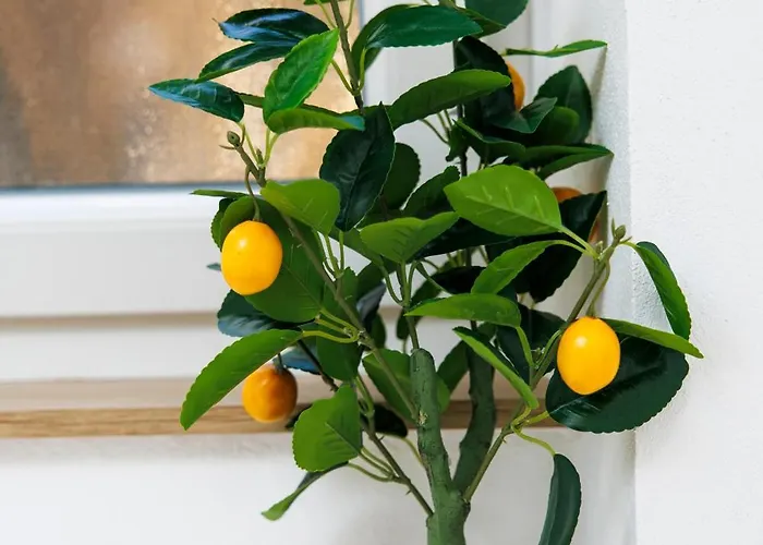 Via Traversa Appartement Izola